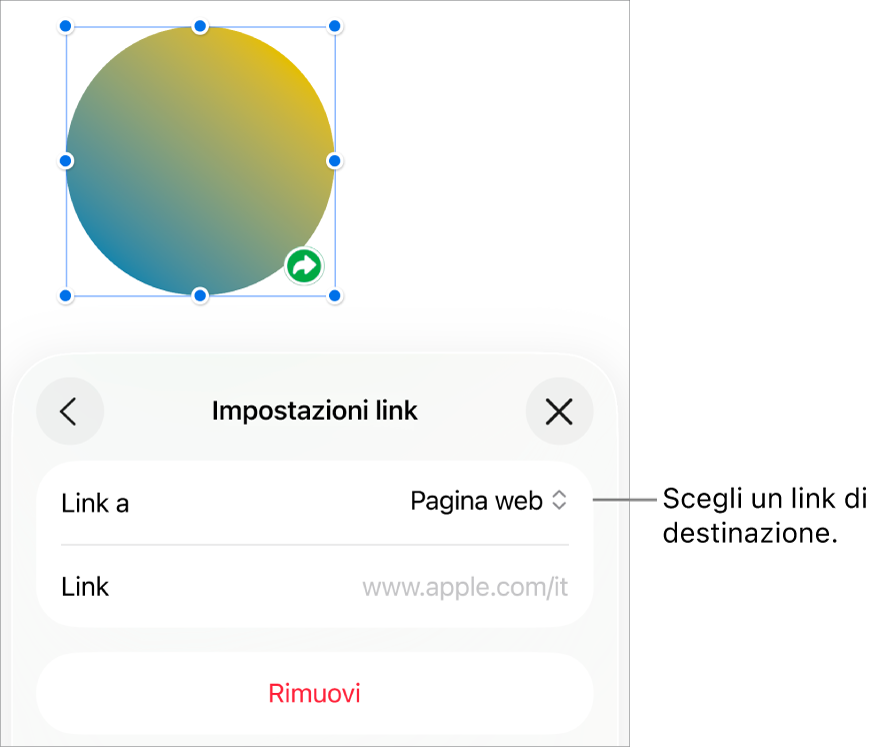I controlli delle impostazioni dei link con la pagina web selezionata e con il pulsante per rimuovere il link mostrato in basso.