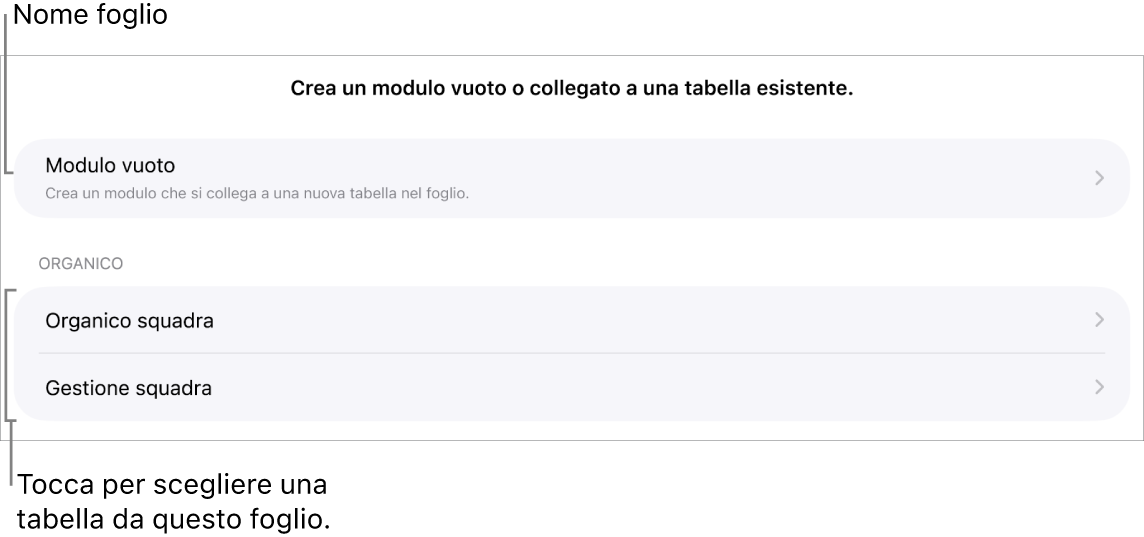 Un elenco di tabelle nello stesso foglio di calcolo, con l’opzione per creare un modulo vuoto in alto.
