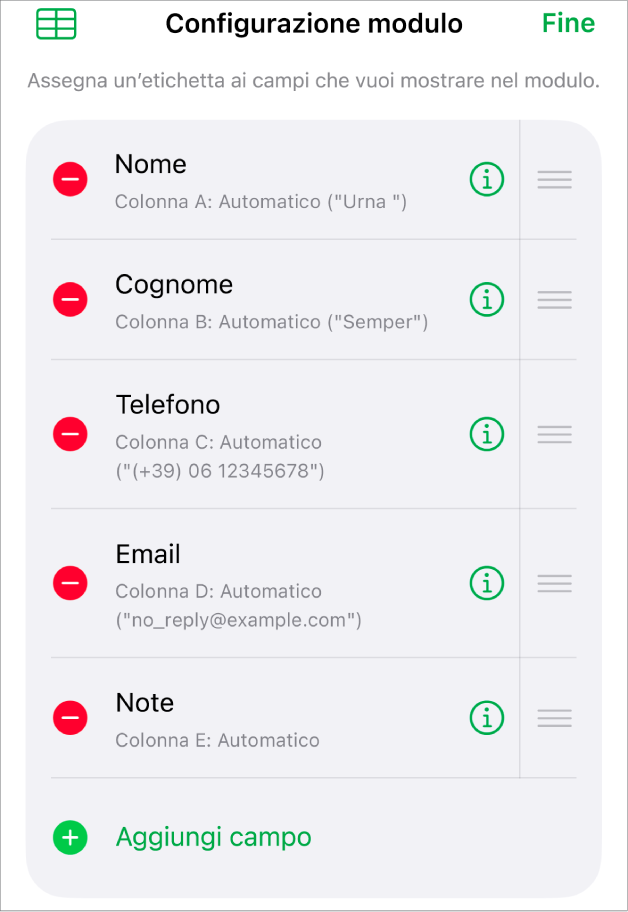 I controlli di configurazione del modulo con le opzioni per aggiungere, modificare, ordinare ed eliminare campi, così come per modificarne il formato (ad esempio, da Testo a Percentuale).