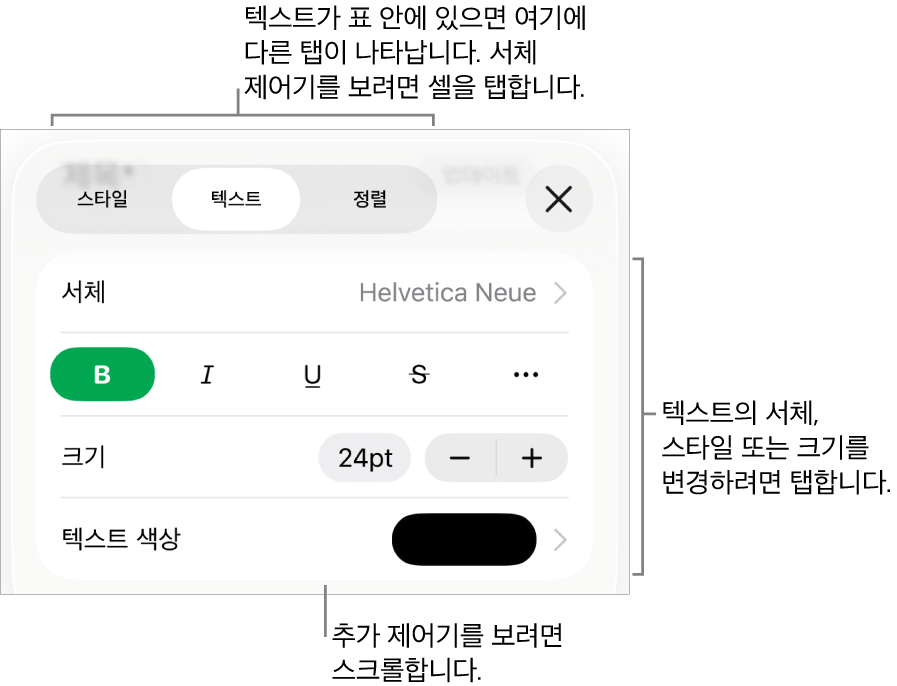 포맷 메뉴에 있는 단락, 문자 스타일, 서체, 크기 및 색상을 설정할 수 있는 텍스트 제어기.