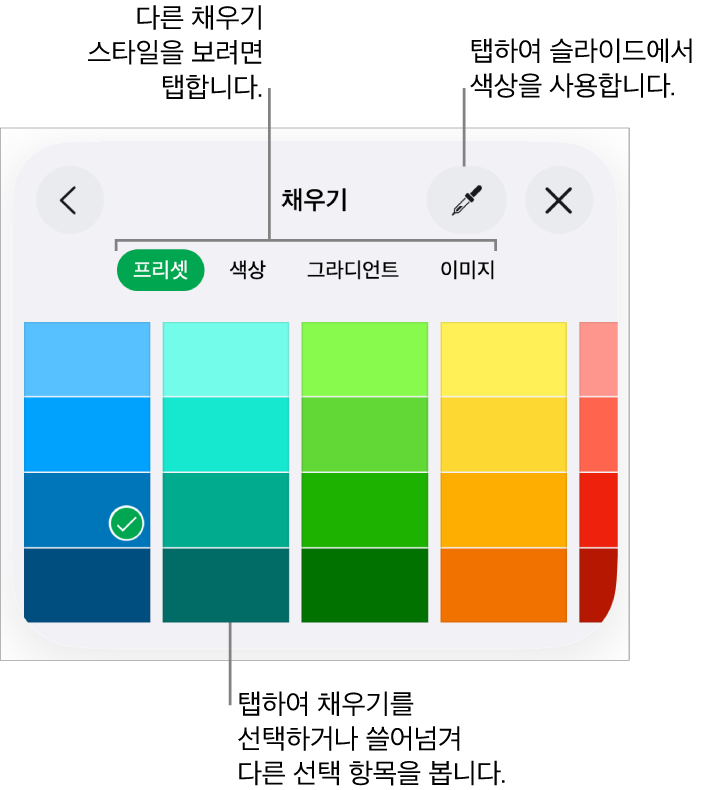 포맷 버튼의 스타일 탭에 있는 채우기 옵션.