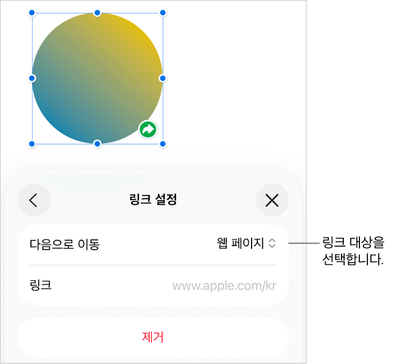 웹 페이지가 선택되어 있고, 하단에 제거 버튼이 있는 링크 설정 제어기.