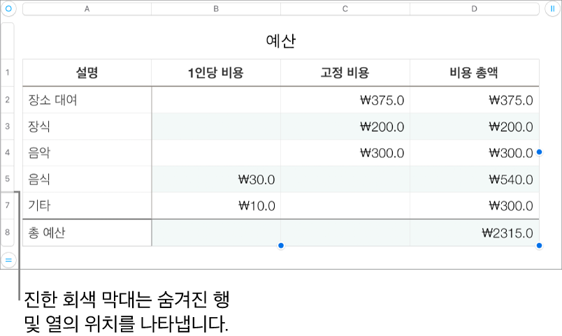 숨겨진 행 및 열의 위치를 나타내는 굵은 회색 막대