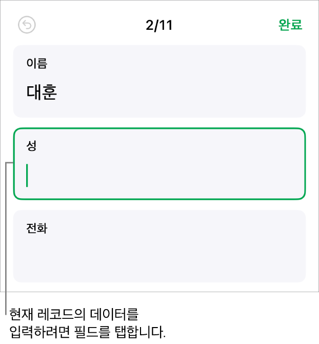 삽입점과 함께 활성화된 필드가 표시된 서식의 레코드.