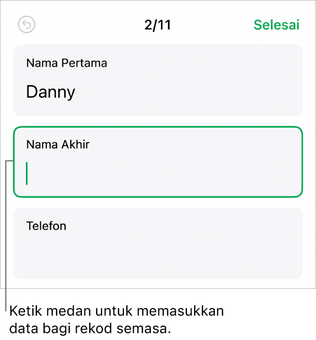 Rekod dalam borang menunjukkan medan aktif dengan titik sisipan.