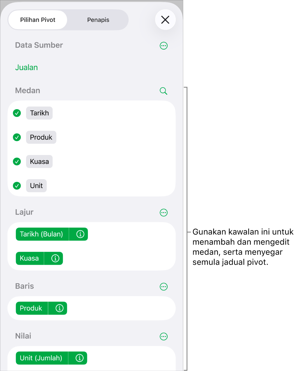 Menu Pilihan Pivot menunjukkan medan dalam bahagian Lajur, Baris dan Nilai, juga kawalan untuk mengedit medan.
