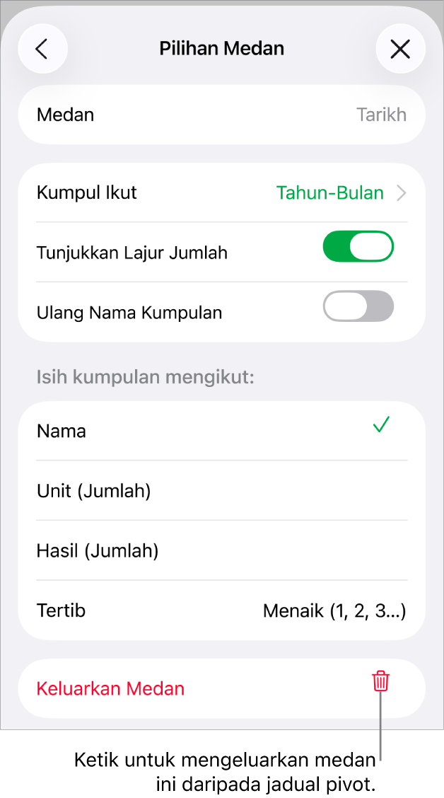 Menu Pilihan Medan, menunjukkan kawalan untuk mengumpulkan dan mengisih data, juga pilihan untuk mengeluarkan medan.
