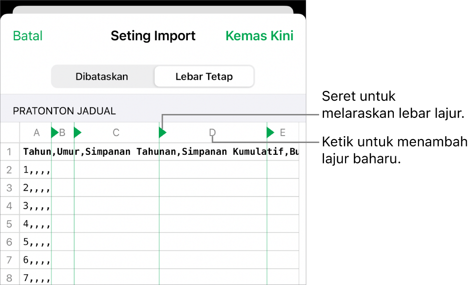 Seting import untuk fail teks lebar tetap.