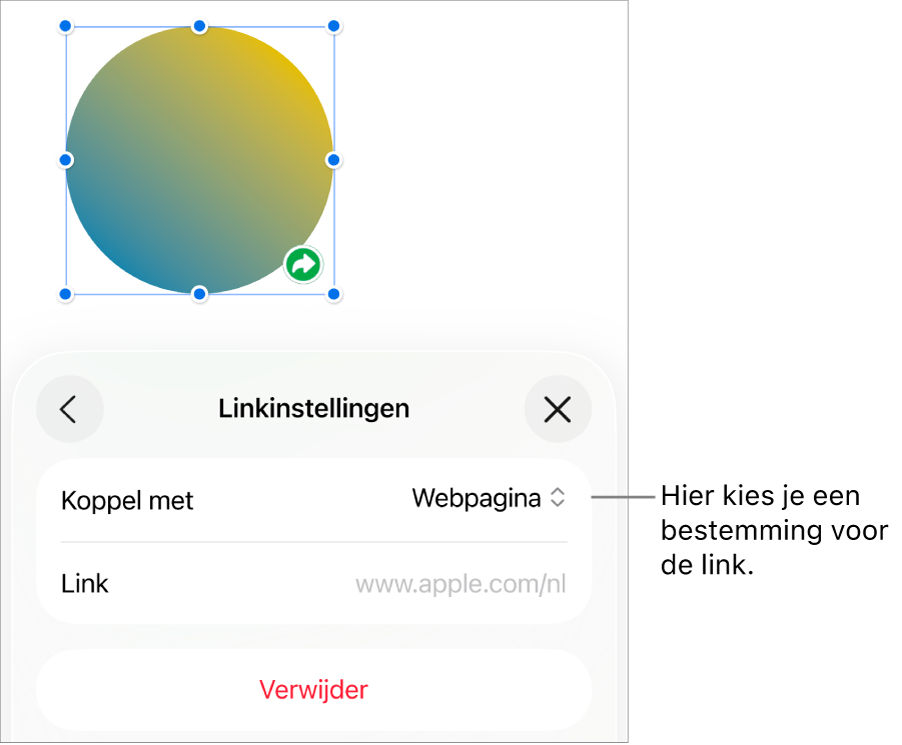 De regelaars voor linkinstellingen. 'Webpagina' is geselecteerd en onderaan staat de knop 'Verwijder'.