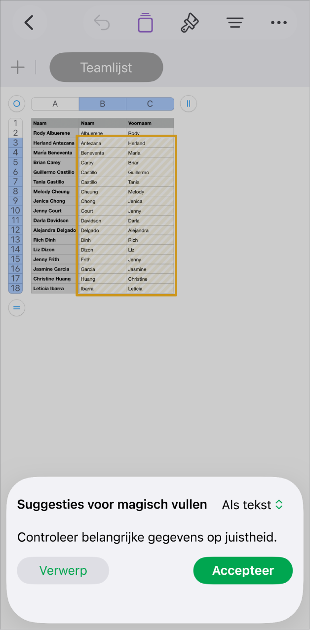 Een spreadsheet met gemarkeerde namen en het pop‑upmenu 'Suggesties voor magisch vullen' waarmee je de namen kunt accepteren of verwerpen.
