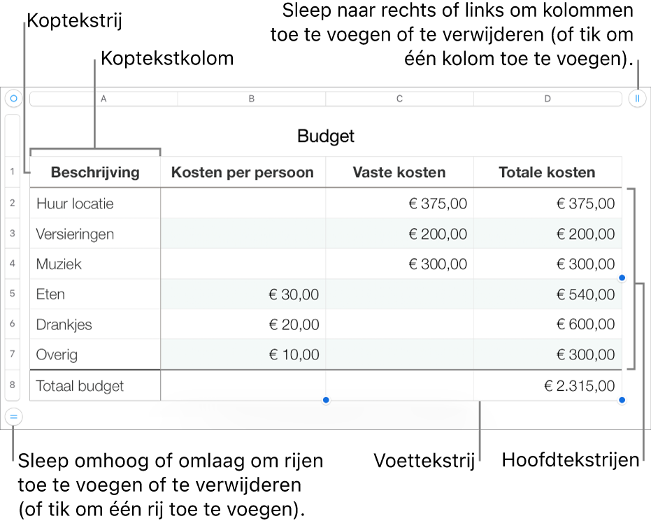 Een tabel met koptekst-, hoofdtekst- en voettekstrijen en -kolommen en selectiegrepen voor het toevoegen of verwijderen van rijen en kolommen.