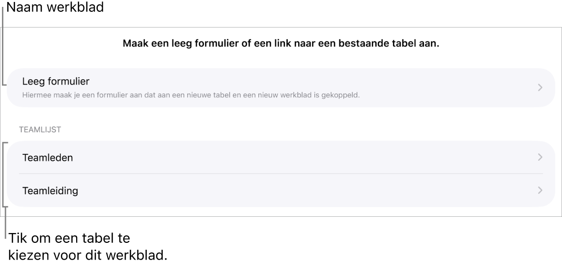 Een lijst met tabellen die in dezelfde spreadsheet staan, met bovenaan de optie om een leeg formulier aan te maken.