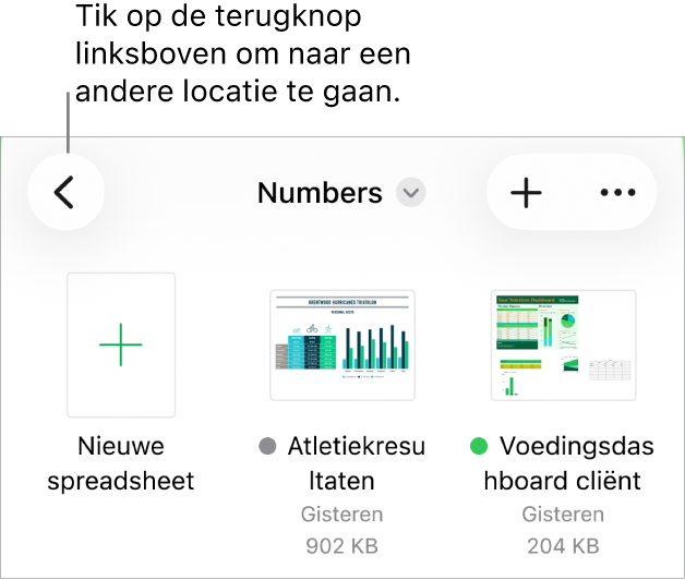 De bladerweergave van de documentweergave met linksboven een link naar andere locaties en daaronder een zoekveld. Rechtsboven staan de knop voor een nieuwe spreadsheet en de knop 'Meer'. Onder in het scherm staan de knoppen 'Recent' en 'Blader'.