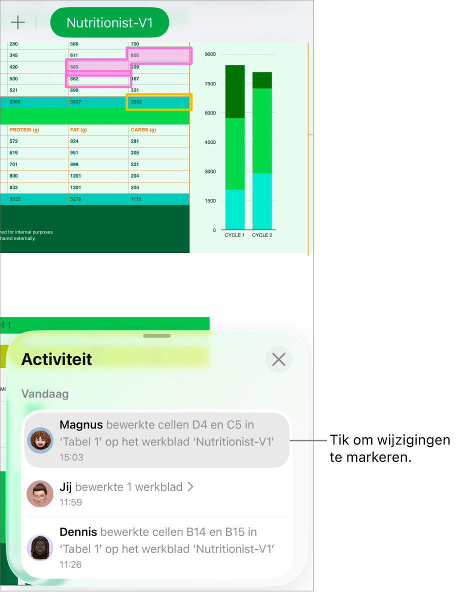 Een gedeelde spreadsheet waarin het samenwerkingsmenu en de activiteitenlijst beide geopend zijn.