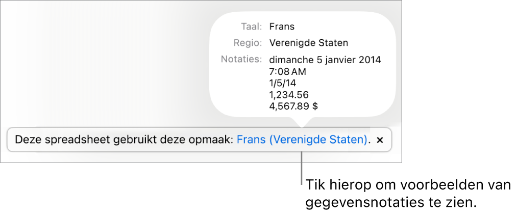 De melding van de afwijkende taal en regio, met voorbeelden van de opmaak in die taal en voor die regio.