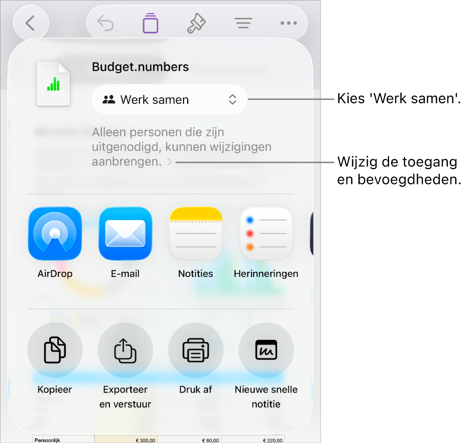 Het Deel-menu waarin bovenin 'Werk samen' is geselecteerd. Eronder staan toegangsinstellingen en bevoegdheden.