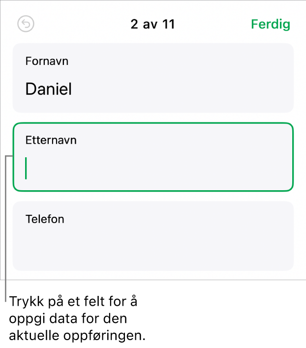 En oppføring i et skjema som viser et aktivt felt med et innsettingspunkt.