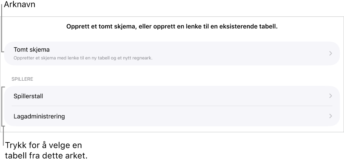 En liste med tabeller som er i samme regneark med mulighet for å opprette et tomt skjema øverst.