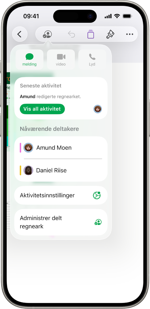 Samarbeid-menyen, som viser navnene til personer som samarbeider om regnearket.