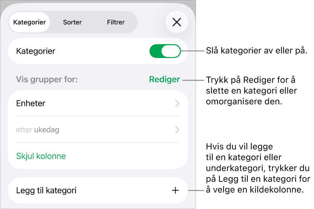 Kategorier-menyen for iPhone med alternativer for å slå av kategorier, slette kategorier, omgruppere data, skjule en kildekolonne og legge til kategorier.
