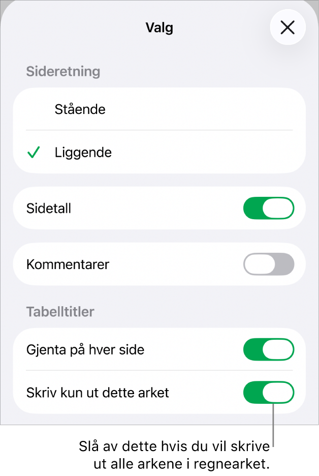 Utskriftsvalg for å velge sideretning, vise sidetall og tittelceller, papirstørrelse og velge hvilke sider som skal skrives ut.
