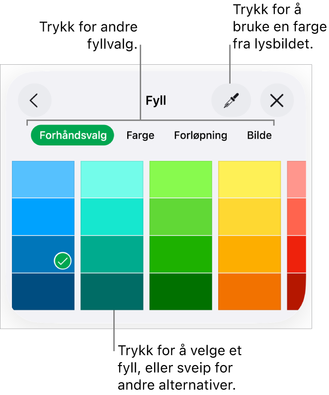 Fyllalternativer i Stil-fanen for Format-knappen.