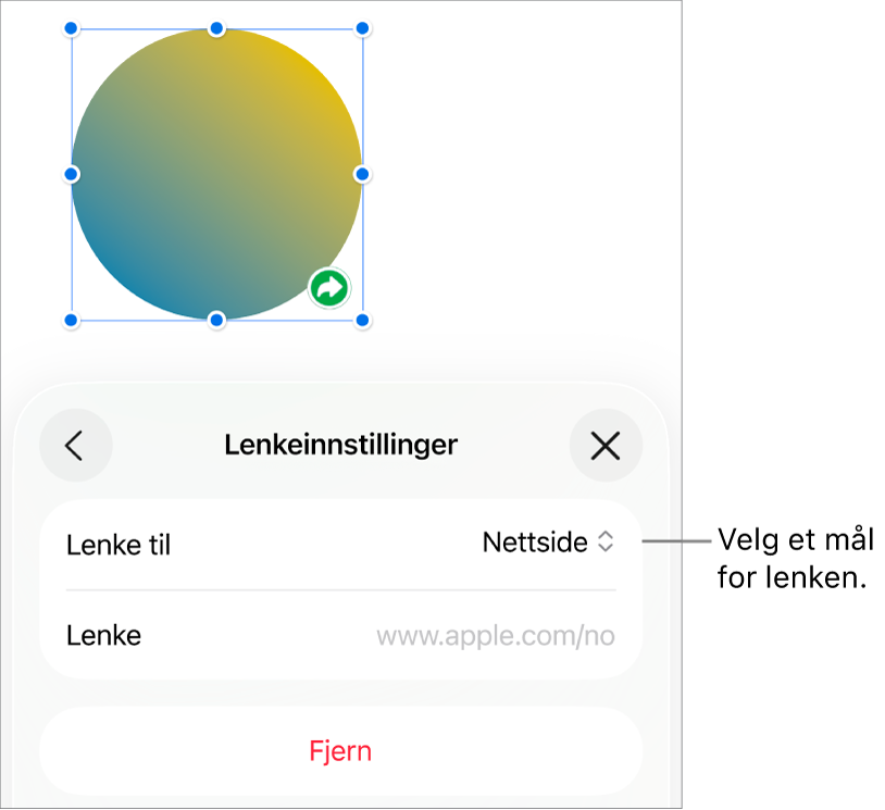 Lenkeinnstillinger-kontrollene med Nettside markert og Fjern-knappen nederst.