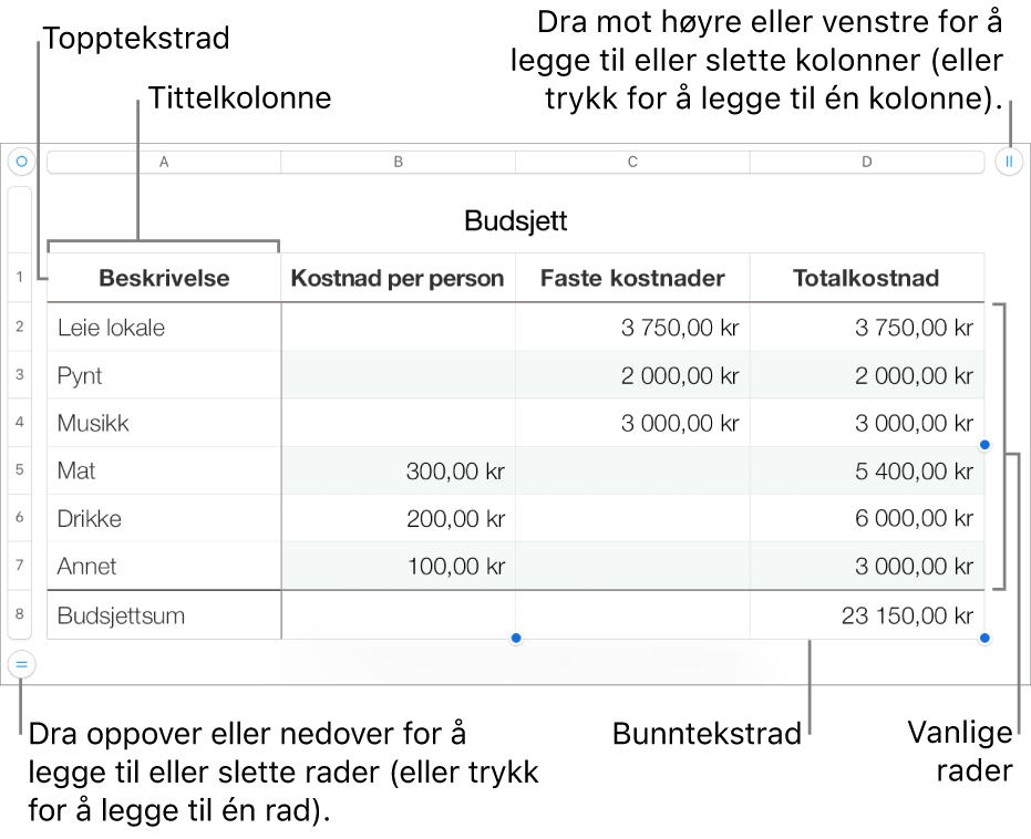 En tabell som viser tittelrader og -kolonner, vanlige rader og kolonner, bunnrader og -kolonner og håndtak for å legge til eller slette rader eller kolonner.