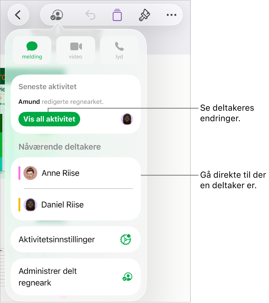 Samarbeidsmenyen, som viser gjeldende deltakere.