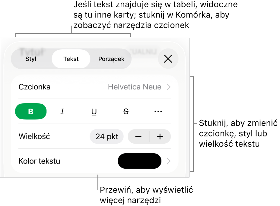 Narzędzia tekstów w menu Format służą do ustawiania stylów akapitu i znaków oraz czcionek ich wielkości i koloru.