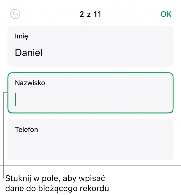 Rekord formularza pokazujący aktywne pole z punktem wstawiania.