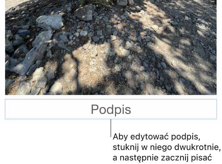 Podpis zastępczy o treści „Podpis” widoczny poniżej zdjęcia. Niebieska ramka wokół pola podpisu wskazuje, że jest on zaznaczony.