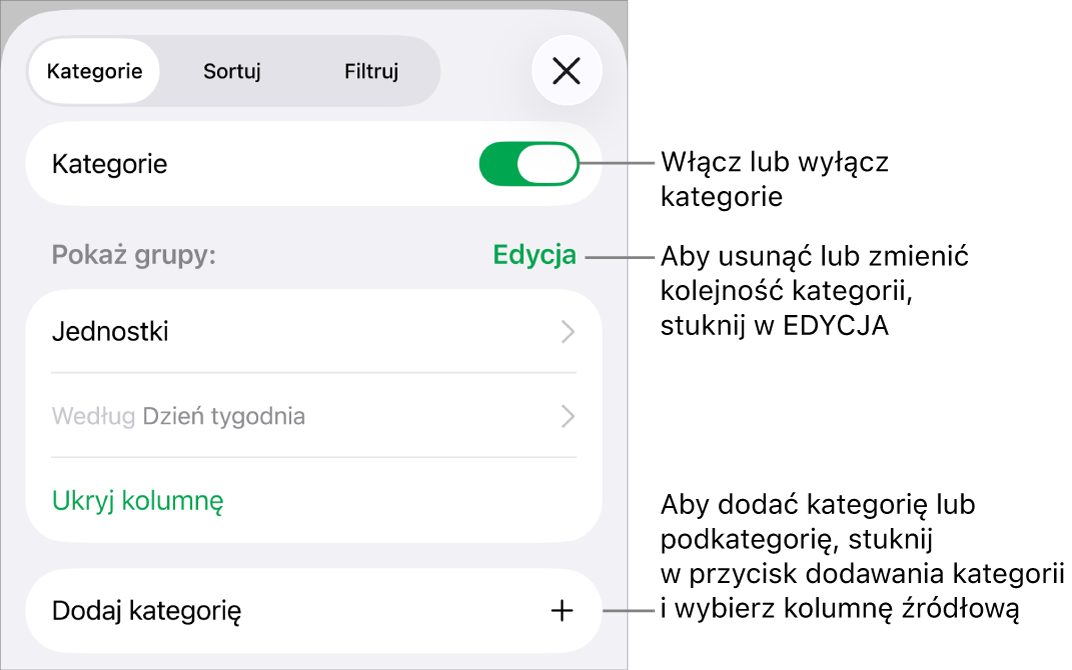 Menu Kategorii dla iPhonie z opcjami wyłączania lub usuwania kategorii, przegrupowywania danych, ukrywania kolumny źródłowej oraz dodawania kategorii.