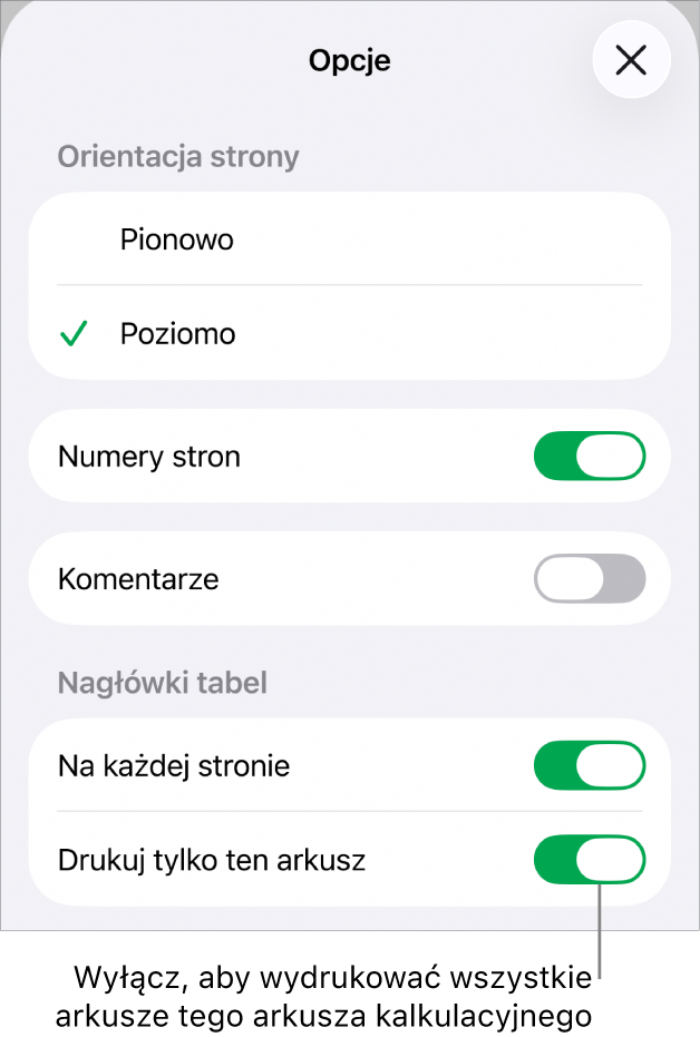 Opcje drukowania, pozwalające wybrać orientację strony, pokazywanie numerów stron, pokazywanie nagłówków, rozmiar papieru oraz które strony mają zostać wydrukowane.