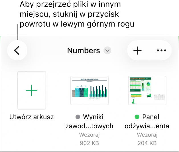 Widok przeglądarki menedżera dokumentów z przyciskiem powrotu w lewym górnym rogu oraz polem wyszukiwania poniżej. Pod polem wyszukiwania znajduje się przycisk tworzenia arkusza oraz miniaturki istniejących arkuszy. W prawym górnym rogu widoczny jest przycisk Dodaj oraz przycisk Więcej.