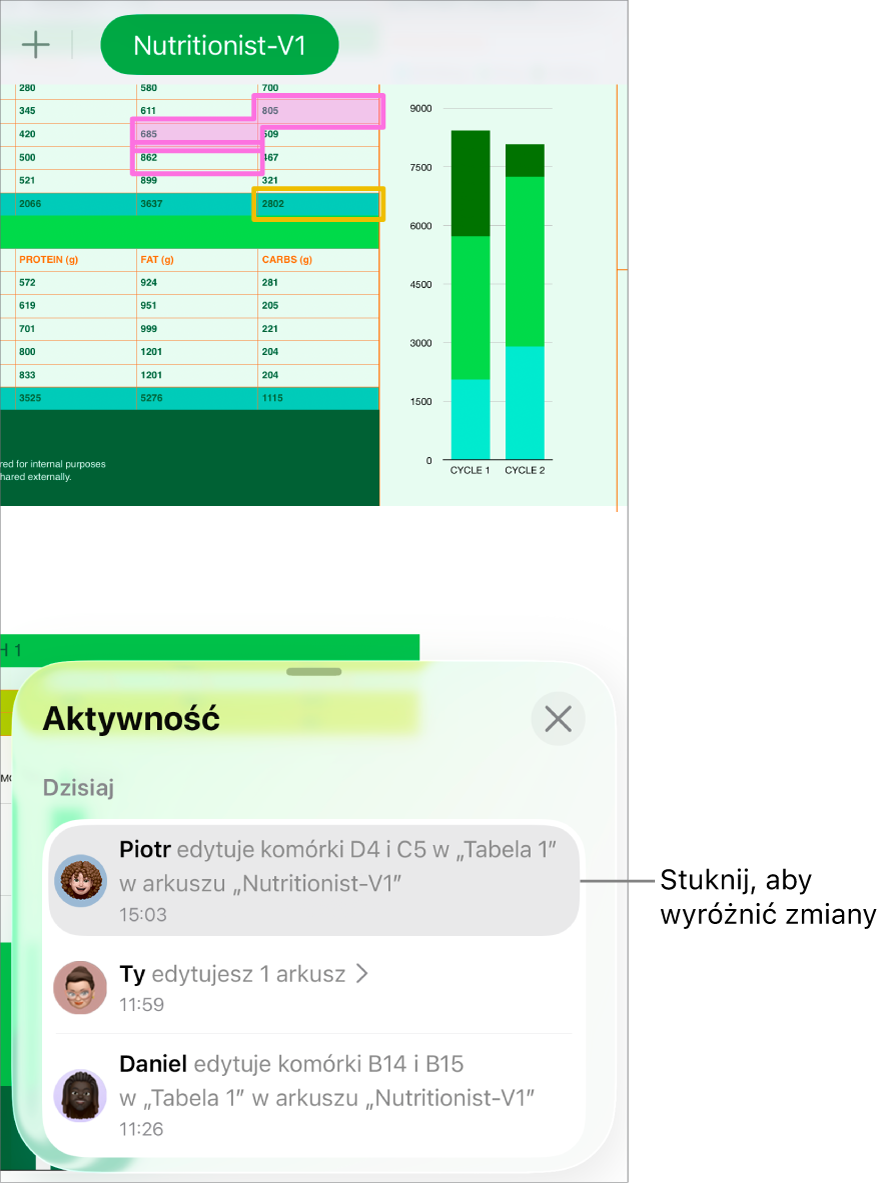Opracowywany wspólnie arkusz z otwartym menu współpracy i listą aktywności.
