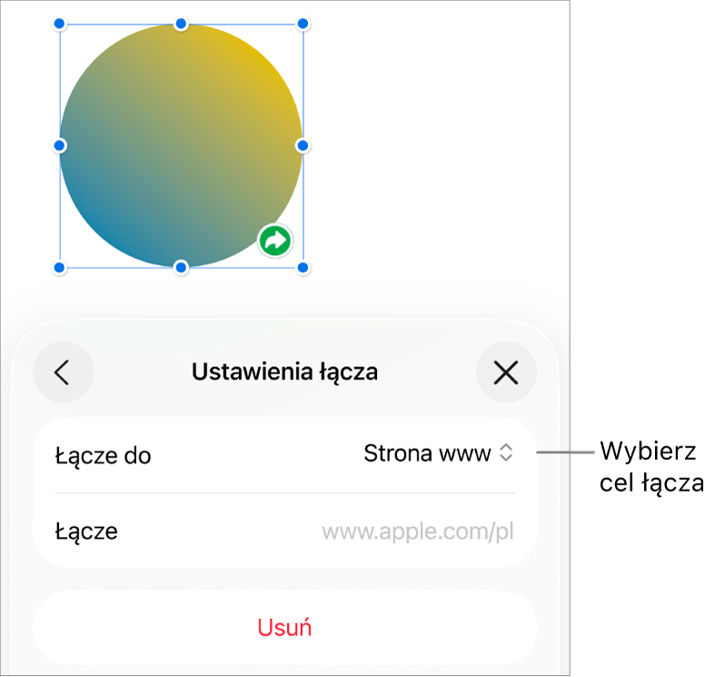 Narzędzia Ustawienia łącza; wybrane jest narzędzie Strona www; na dole znajduje się przycisk Usuń.