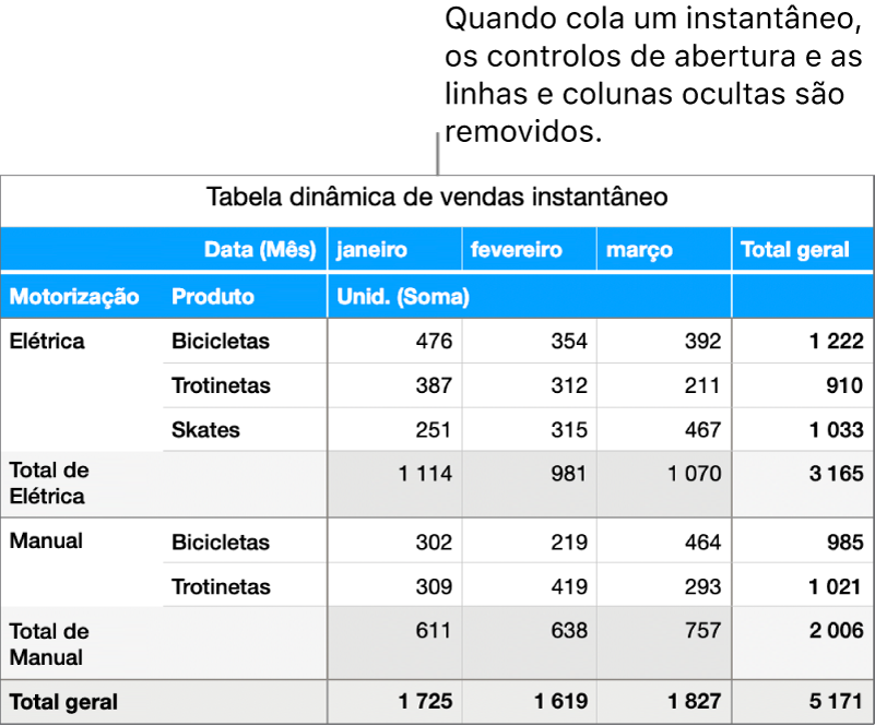 Um instantâneo de uma tabela dinâmica.