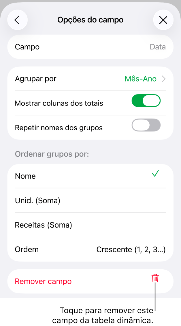 O menu "Opções do campo”, a mostrar os controlos que permitem agrupar e ordenar dados, assim como a opção para remover um campo.
