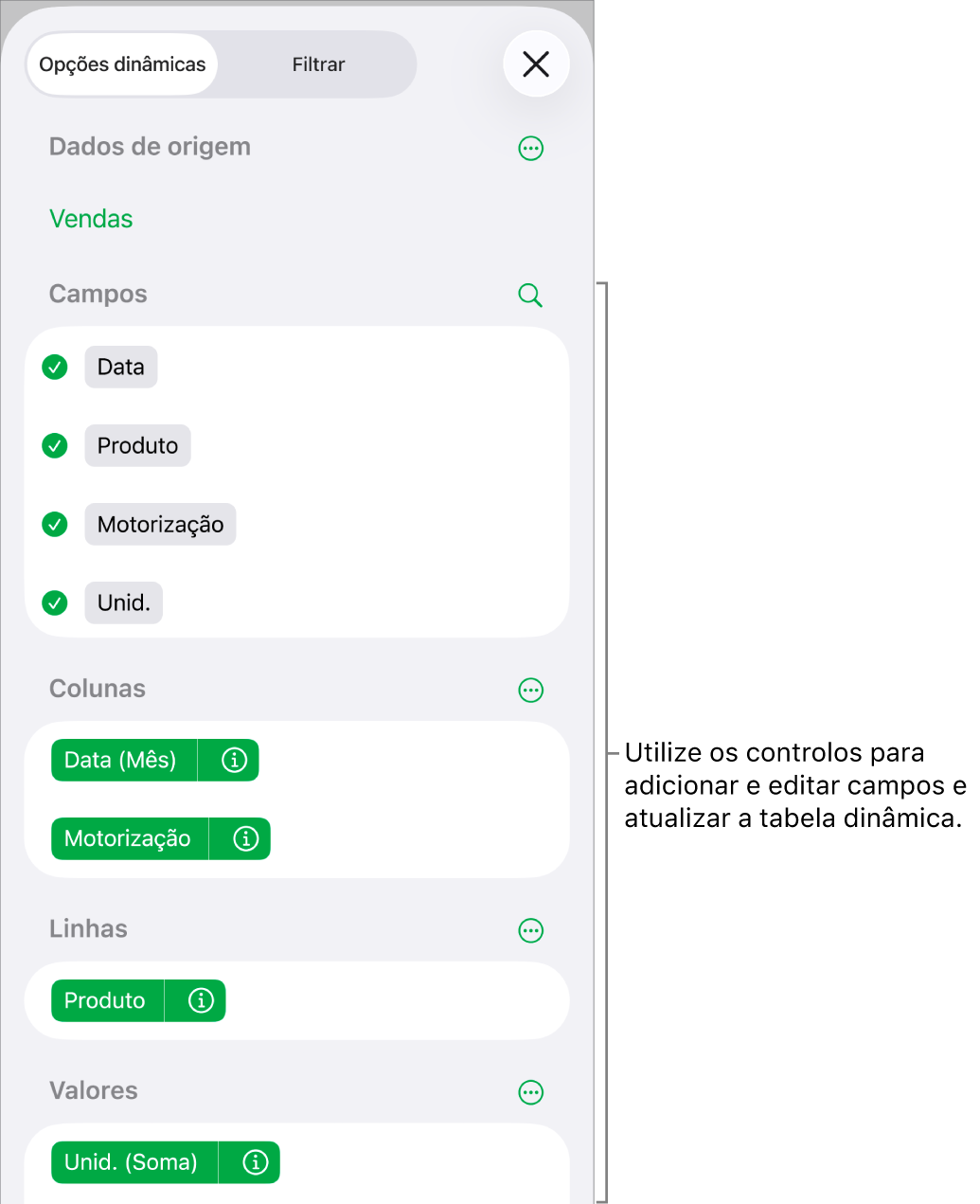 O menu "Opções dinâmicas” a mostrar campos nas secções “Colunas”, “Linhas” e “Valores”, bem como os controlos para editar os campos.