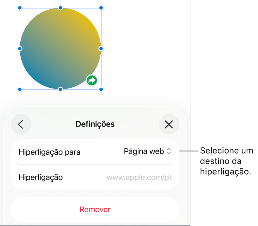 Os controlos “Definições” com a página web selecionada e o botão “Remover” na parte inferior.