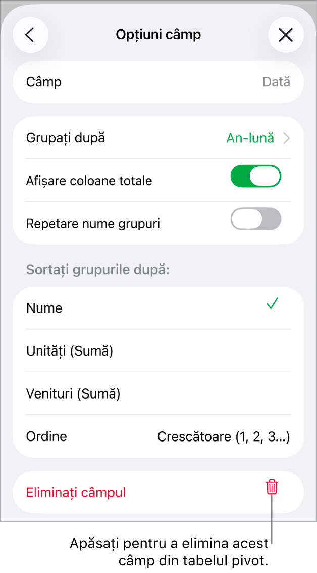 Meniul Opțiuni câmp afișând comenzile pentru gruparea și sortarea datelor și opțiunea de eliminare a unui câmp.