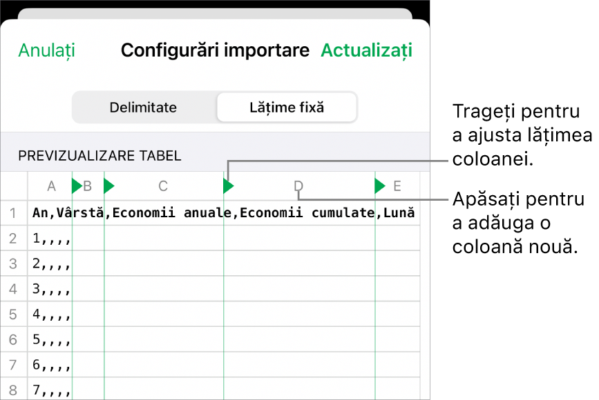 Configurările de importare pentru un fișier de text cu lățime fixă.