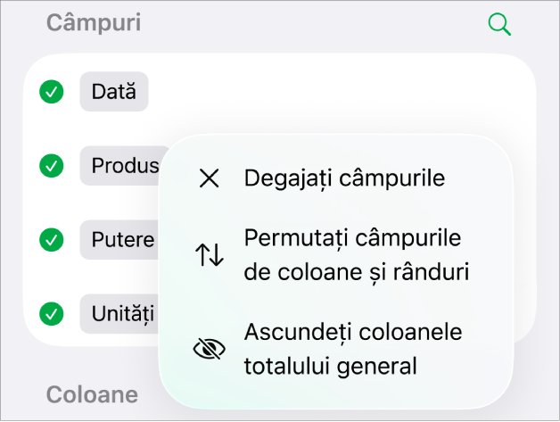 Meniul Mai multe opțiuni de câmpuri afișând comenzile pentru ascunderea totalurilor generale, permutarea câmpurilor de coloane și rânduri și ștergerea câmpurilor.