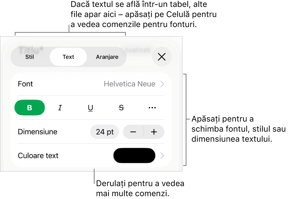 Comenzi text din meniul Format pentru configurarea paragrafelor și a stilurilor, fonturilor, dimensiunii și culorii caracterelor.