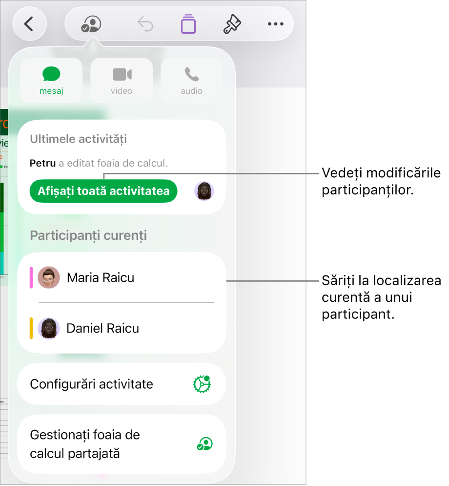 Meniul pentru colaborare cu participanții curenți listați.