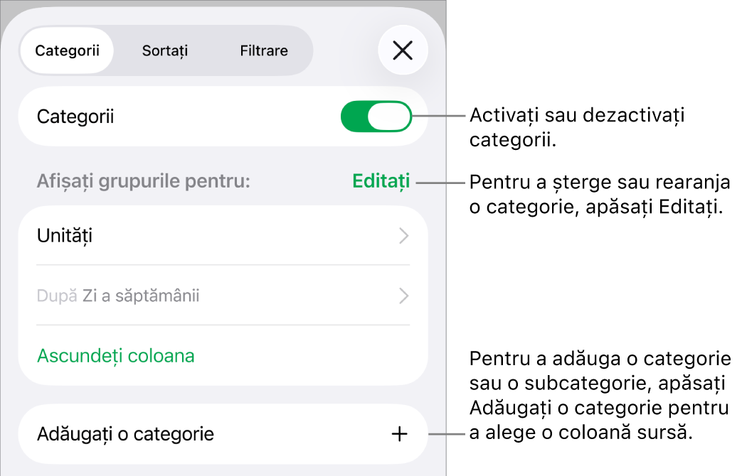 Meniu Categorii pentru iPhone cu opțiuni pentru a dezactiva categoriile, șterge categoriile, regrupa datele, ascunde o coloană sursă și a adăuga categorii.