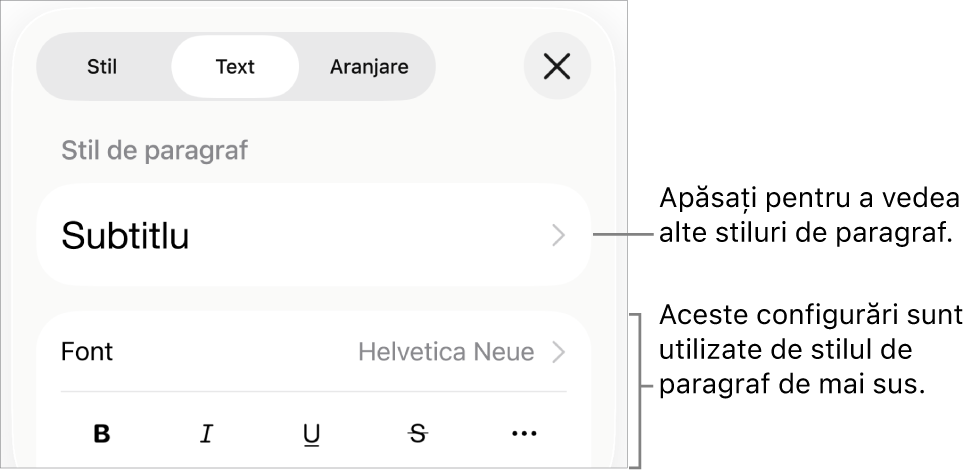 Meniul Format afișând comenzi de text pentru configurarea stilurilor, fonturilor, dimensiunii și culorii paragrafelor și caracterelor.