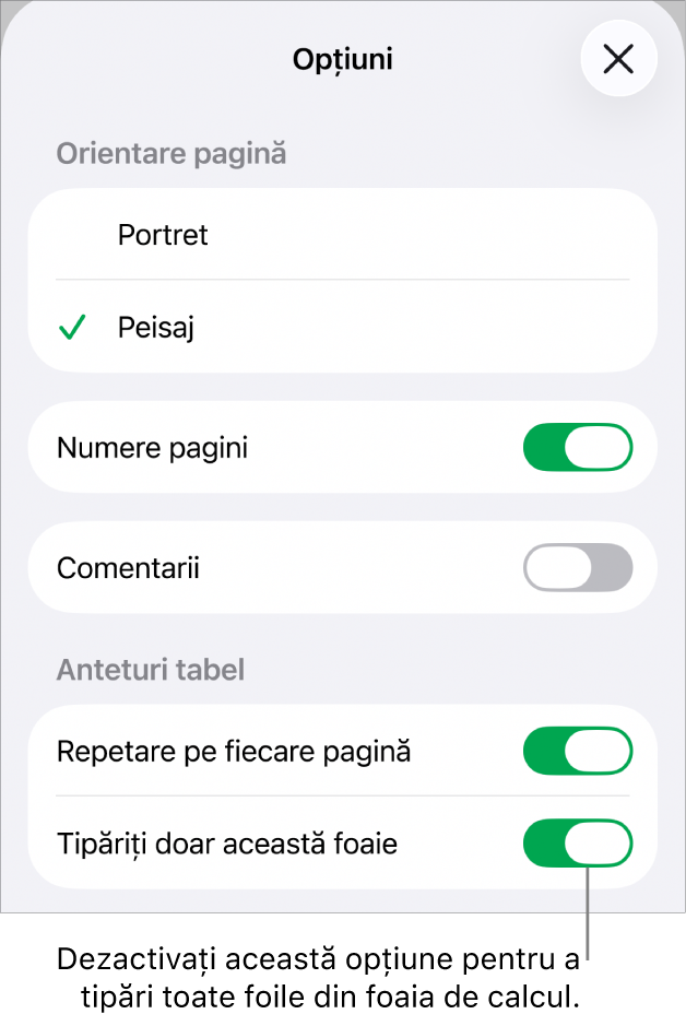 Opțiunile de tipărire pentru alegerea orientării paginii, afișarea numerelor paginilor și anteturilor și pentru alegerea dimensiunii hârtiei și a paginilor care vor fi tipărite.