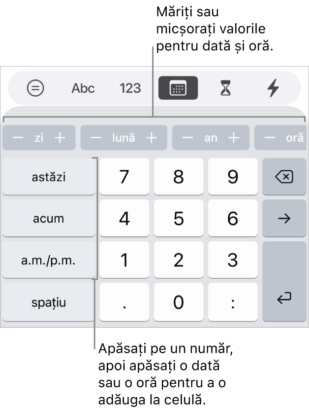 Tastatura dată și oră. Un rând de butoane de lângă partea de sus afișează unități de timp (lună, zi și an) pe care le puteți incrementa pentru a schimba valoarea afișată în celulă. Pe stânga se află tastele pentru astăzi, acum și AM/PM, iar în centrul tastaturii sunt taste numerice.